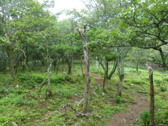 画像23